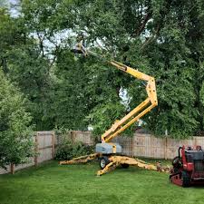 Best Commercial Tree Services  in Centuria, WI